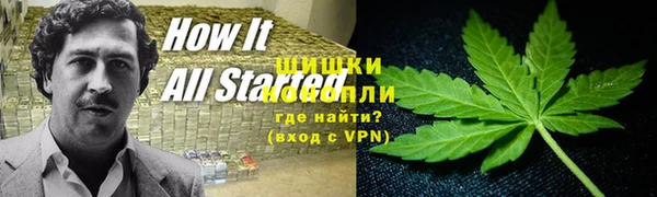 эйфоретик Ладушкин