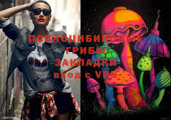мдпв Братск