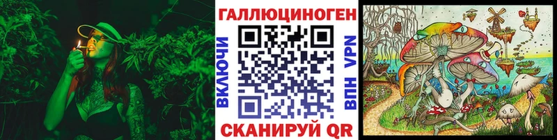 блэк спрут маркетплейс  Ноябрьск  Галлюциногенные грибы Cubensis 