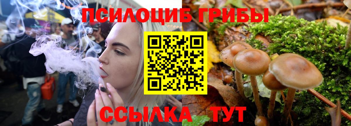 Ноябрьск  Галлюциногенные грибы ЛСД  закладки  Галлюциногенные грибы Psilocybine cubensis  Вход с VPN 